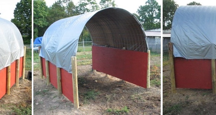 DIY Horse Shelter